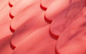 Strawberry Bank plastic roof costs