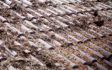 Strawberry Bank roof cleaning companies